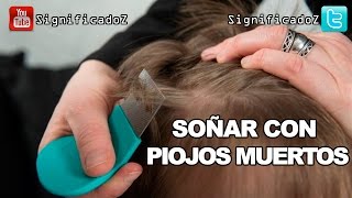 Significado de SOÑAR CON PIOJOS MUERTOS ? ¿Qué Significa?