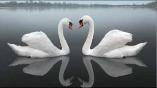 Antonio Vivaldi: Tito Manlio (RV 738-A) - II/IX Arietta: Dar la morte a te, mia vita