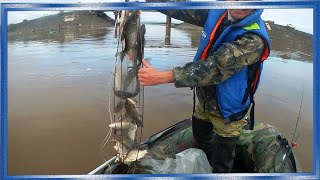 РЫБАЛКА НА ХАПУГУ ХЛОПОК, ЛЕТОМ С ЛОДКИ, Рыбалка на Амуре!