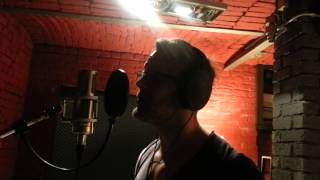 Rihanna-Stay (Andrei Chermeleu, cover)