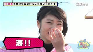 Team 8 no Anta, Roke Roke! Matome ep.6