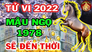 Tiết Lộ Bí Mật Động Trời Mậu Ngọ 1978 NỔ LỘC TRÚNG TO Giàu Như Vũ Bão Năm 2022