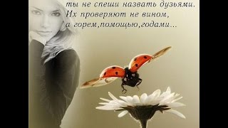36-й калибр (410) охота на варон. зачистка от вредителей.