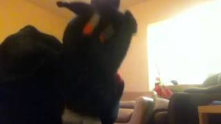 RHYJO the horse DANCE