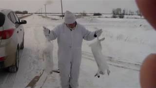 Охота на зайца! 21февраля