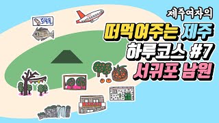 떠먹여주는 제주도여행 하루코스 #7 겨울 서귀포편 (남원)