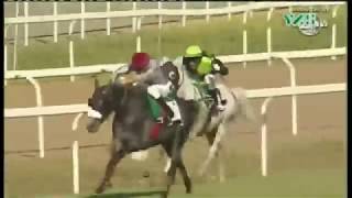 Sheikh Zayed Bin Sultan Al Nahyan Cup - Rome, Italy - 04 June 2017