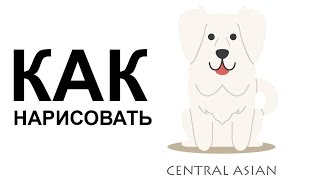 Собаки поэтапно карандашом. КАК НАРИСОВАТЬ СОБАКУ
