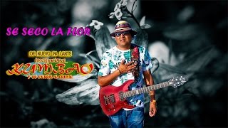 INTERNACIONAL KUMBAO SE SECO LA FLOR VIDEOCLIP OFICIAL 2017