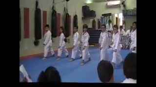 EXAME FAIXA AMARELA TURMA 01 - ACADEMIA SHOBUKAN ANDRADINA/SP