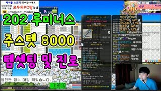 [메이플스토리]  202 (루미너스) 주스텟(8000) 템셋팅 및 진로 [ 먼치 ]