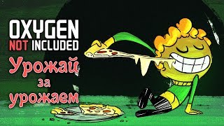 Oxygen Not Included - Прохождение игры #34 | Урожай за урожаем