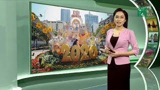 Thời tiết du lịch 25/01/2020: Trải nghiệm đường hoa Nguyễn Huệ dưới kiểu thời tiết nhiều mây| VTC14