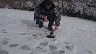 #1 Последний Шанс: Зимняя Рыбалка 2018. Ловля  Щуки Зимой на Жерлицы