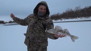 Опустили Камеру, а там Судаки. Ловля Судака на Балансир. Щука на жерлицы