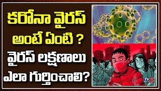 కరోనా వైరస్ అంటే ఏంటి ? | Full Details of Corona Virus | Symptoms And Treatment | TV5 News