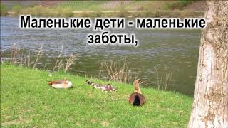 Дети Учим разговорный немецкий без учебника с переводом Бесплатная онлайн программа по темам