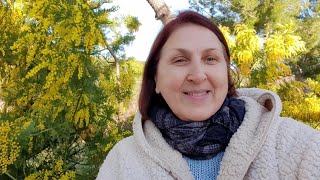 France/ Сама в Шоке!ВЕСНА в ПРОВАНСЕ Февраль 2020 Ах и Ох...