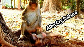 Attack Own Baby Is Anna Skill Now She Don't Care About Alba Life|Alba Cry Siezure Cos Mum Anna Fight