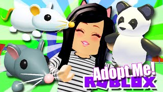 *NEW* RATS & PANDA PETS in Adopt Me! Roblox TEA NEWS UPDATE