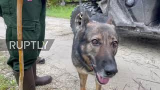 USA: K-9 units, special equipment deployed at Florida reserve as search for Brian Laundrie continues