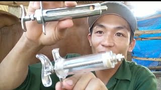 TỒN TV - Hướng dẫn tiêm chích trâu bò vệ sinh thú y đơn giản khi nuôi bò ai cũng làm được