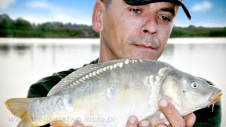 KARPIE biorą bo upał rybom nie przeszkadza - wędkarstwo