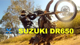 SUZUKI DR650 - THE WORLD'S BEST BIKE