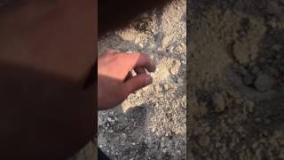 В Белгородской области найдено Золото!