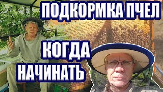 ОТ ЧЕГО ЗАВИСИТ ХОРОШАЯ ЗИМОВКА ПЧЕЛ Работы на пасеке в сентябре