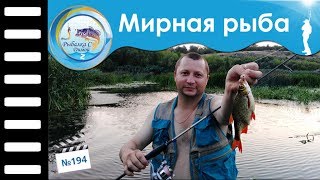 Основы ловли мирной рыбы на спиннинг #194