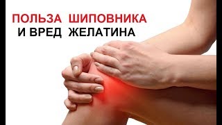 О пользе шиповника и вреде желатина