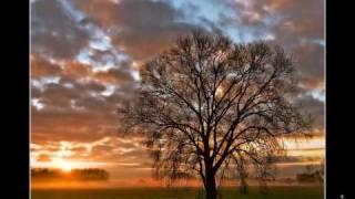 La cruauté envers les animaux (musique "Electric blue" - Cranberries)