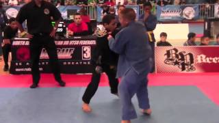 Ruotolos 2013 BJJ clips