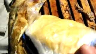 19 января  Смотрим пчел