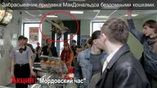 Кто такие пусси райт? (Who Is The Pussy Riot?)