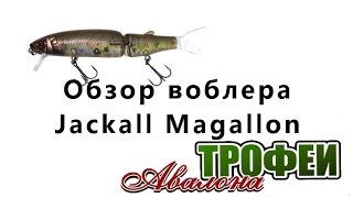 Обзор воблера Jackall Magallon - магазин "Трофеи Авалона"