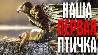 ARK НОВАЯ КАРТА VALGUERO НАМ НУЖЕН АРГЕНТАВИС