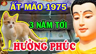 Tiết Lộ Chấn Động Tử Vi Tuổi Ất Mão 1975 Đổi Vận Cực Phất Tiền Tiêu 5 Đời Không Hết