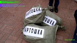 Сценка комсомольцев «“Картофельный папа” подкупал избирателей». Брянск. 09.11.2015 года.