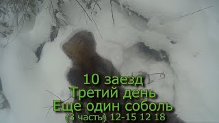 10 заезд Третий день еще один соболь (3 часть) 12-15 12 18