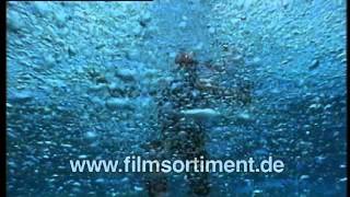 Schulfilm: OZEANE - EINBLICK IN EINE UNBEKANNTE WELT (DVD / Vorschau)