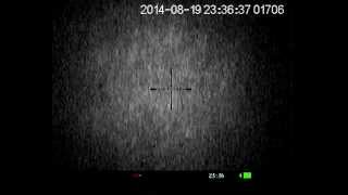Заяц на поле в прицел Digisight N770