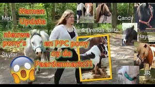 Namen van de nieuwe pony's en PPC pony gespot op paardenmarkt?! ♥ Ponyparkcity !!