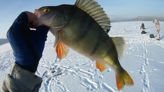 Первый лед - ноябрь 2016г. - 12 см - Рыбалка на Братском водохранилище !