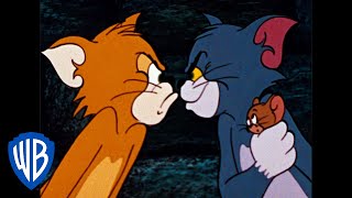 Tom und Jerry auf Deutsch | Klassischer Cartoon 32 | WB Kids