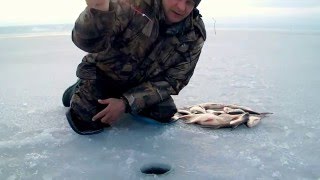 Зимняя ловля подлещика/леща на Печенежском водохранилище. Ветерок.