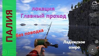 Русская рыбалка 4 - Ладожское озеро - На палию без поводка