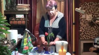 Антуриум. СЛОЖНОСТИ ПРИ ВЫРАЩИВАНИИ АНТУРИУМА И СПОСОБЫ ИХ РЕШЕНИЯ