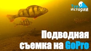 Зимняя рыбалка. Подводная съемка...Тур Истории